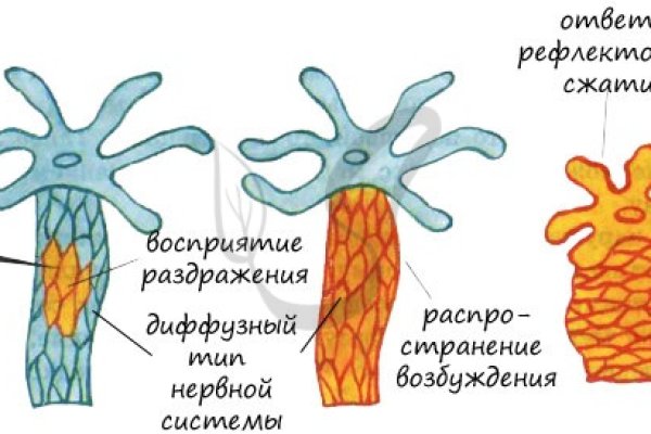 Кракен гидра